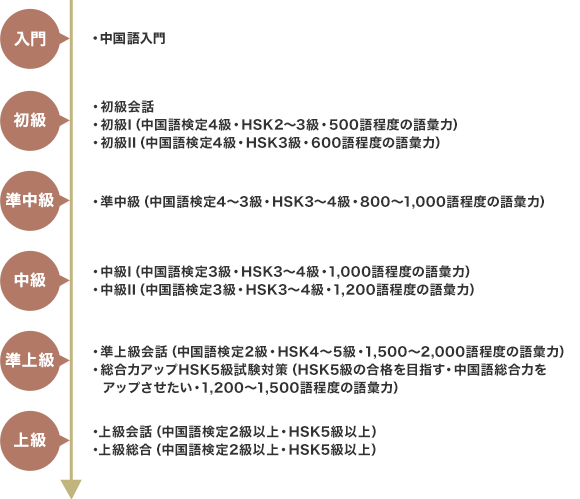社会人語学講座レベル図